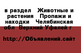  в раздел : Животные и растения » Пропажи и находки . Челябинская обл.,Верхний Уфалей г.